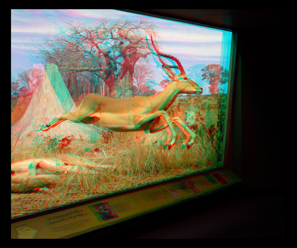 Anaglyph (Red/Cyan glasses)