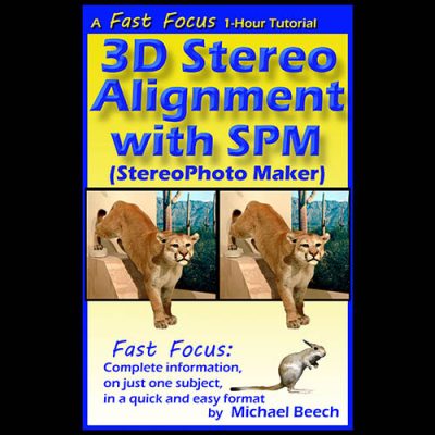 3D Stereo Alignment with SPM